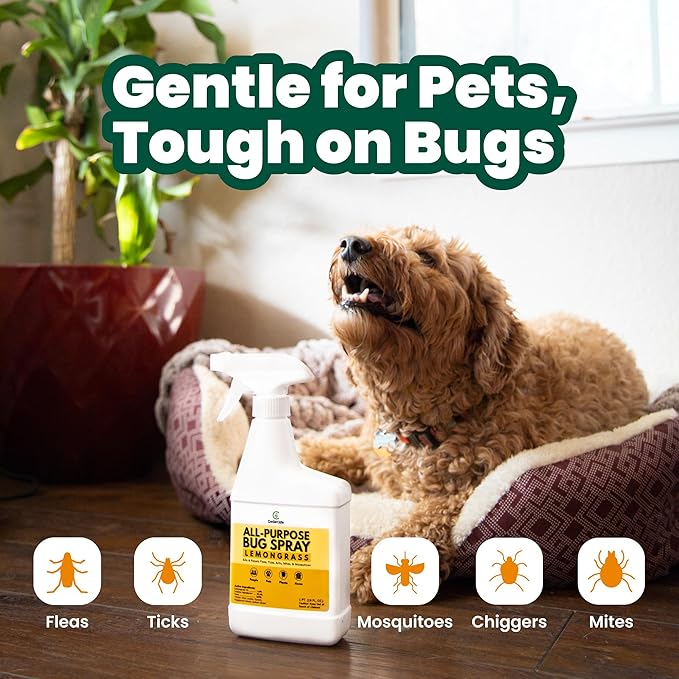Cedarcide All-Purpose Bug Spray | Kill and Control Mosquitos, Fleas, Ticks, Ants | Made with Natural Essential Oils | Use on People, Pets & Kids (Lemongrass, Quart (32 Oz.))