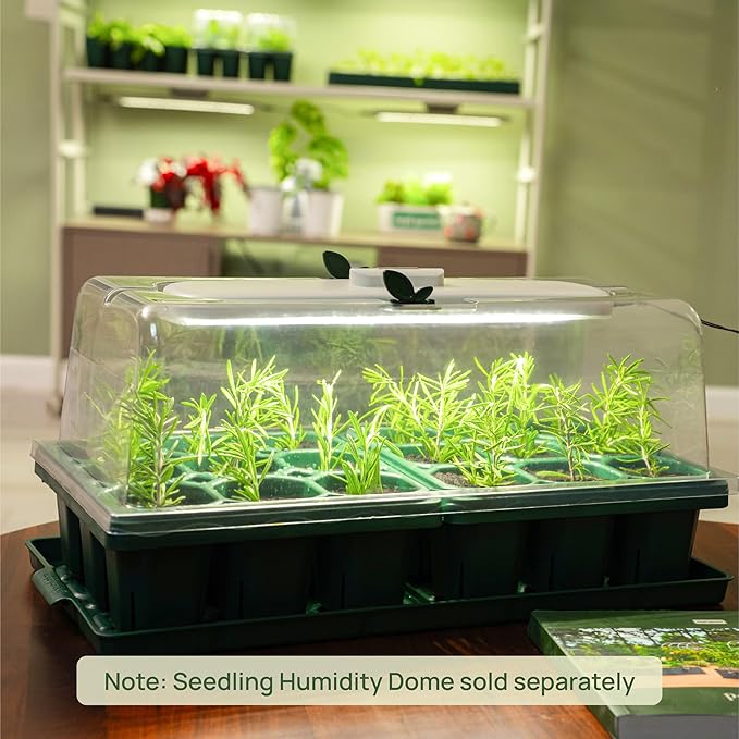 Vego garden Giga Seedling Trays - 8 Pack, 9-Cell UV-Resistant Reusable Starter Trays for Greenhouse/Garden (No Lids)