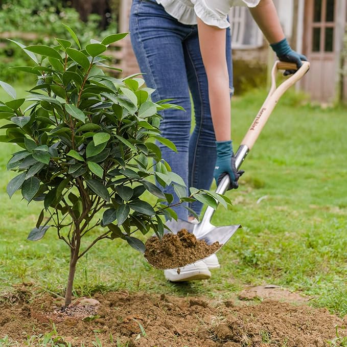 Berry&Bird Round Point Gardening Shovel with Wood D-Handle, 40.98" Stainless Steel Beach & Snow Shovel