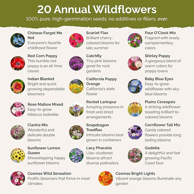 Eden Brothers All Annual Wildflower Mixed Seeds for Planting, 50 lb, 24,000,000+ Seeds with Sunflower, Indian Blanket | Attracts Pollinators, Plant in Spring or Fall, Zones 3, 4, 5, 6, 7, 8, 9, 10