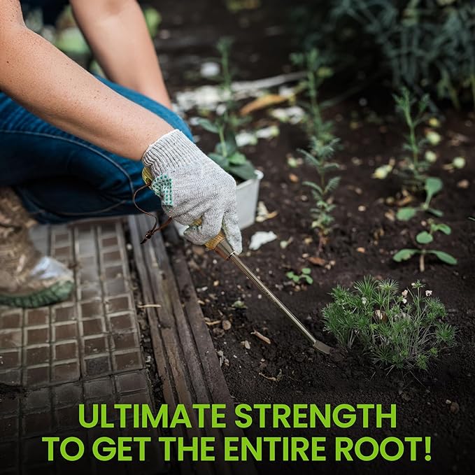 Garden Guru Eco Dandelion Weeder Tool with Ergonomic Wood Handle - 100% Recycled Stainless Steel - Rust Resistant - FSC Certified Wood - Weed Puller for Planting, Weeding, Flower & Vegetable Care