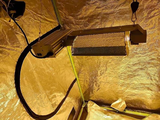 Grow Light Bulbs DE HPS 1000W Full Spectrum Double Ended High Pressure Sodium for Indoor Plant Growth lamp High PAR CCT 2100K 1 Pack