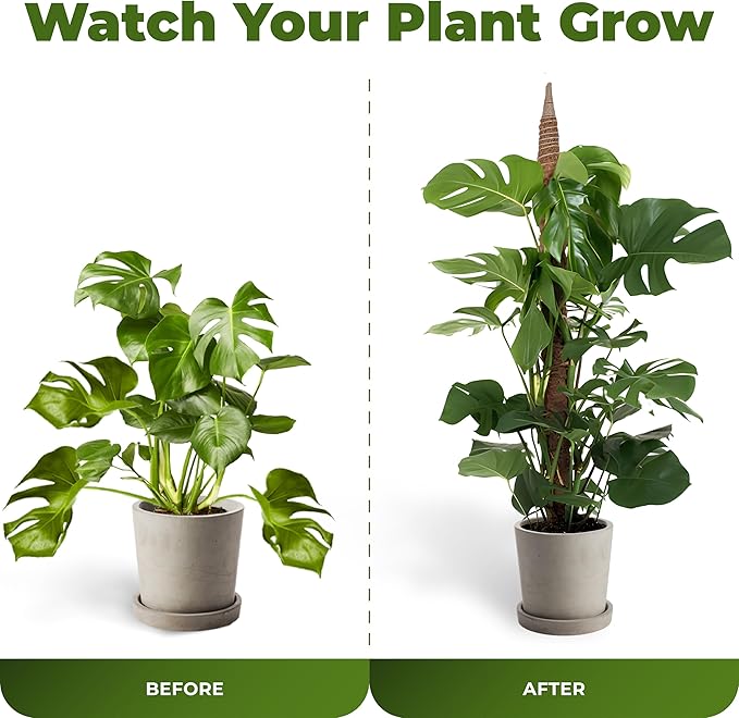 2 Pack 28 Inch Bendable Moss Pole Monstera Plant Support Stakes for Indoor Plants - Tall Moss Stick Trellis for Potted Climbers - Stem Support Accessories for Climbing Houseplants
