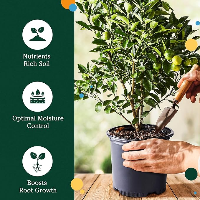 Chunky Soil Mix for Indoor Plants - Citrus Trees, Indoor Potting Soils, Loamy Soil for Tree Plant, Fruit Bedding, Lemon Tree Bedding Tropical and Potting Mix Soils (4.25 quarts) by Via Citrus