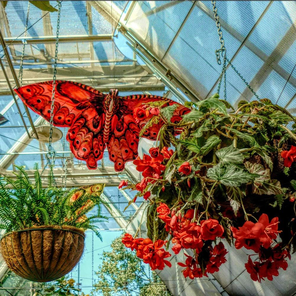 14 inch Coco Liner for planters, 2PCS Round Replacement Plant Basket Liners Coco Fiber Liner for Hanging Basket (14 inch Round)