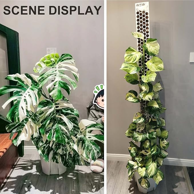 8 Pcs 17 Inch Plastic Moss Pole for Plants Monstera,Designed Specifically for Climbing Plants, Stackable Plant Support for Indoor Plants