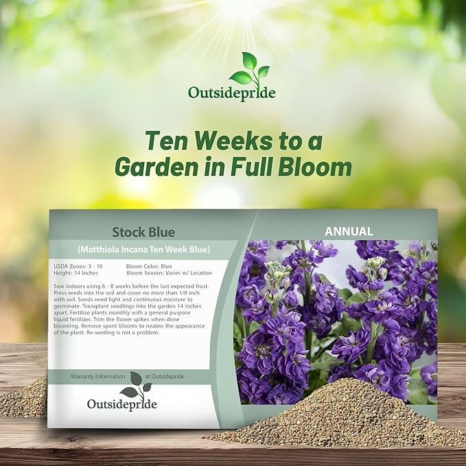 Outsidepride Ten Week Blue Mattiola Stock Seeds - 1000 Pcs Annual Flower Seeds for Planting with Fragrant Blooms That Attract Pollinators, Compact Growth, for Cut Flower Arrangements & Containers