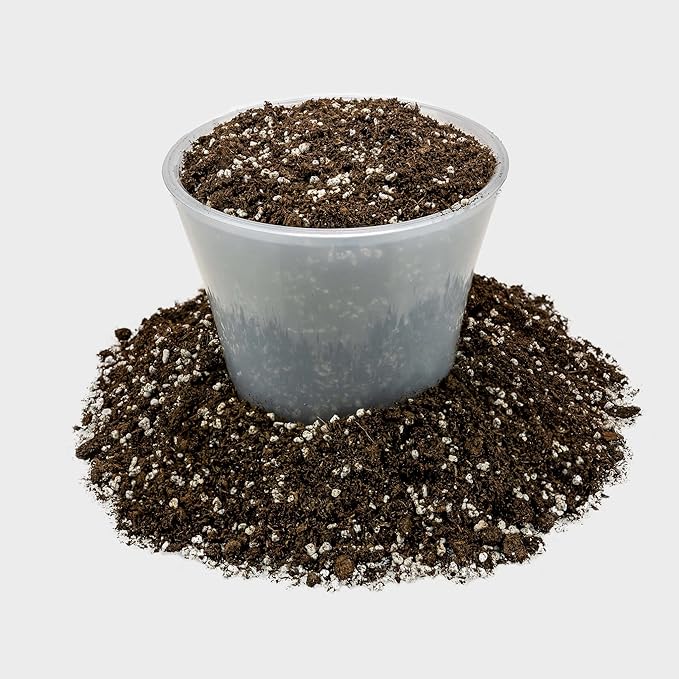 Premium Organic Potting Soil, Succulent & Cactus Soil Mix, Fast Draining Pre-Mixed Blend - Horticultural Perlite (25%) + Peat Moss (75%) - Made in USA - 1 Quart