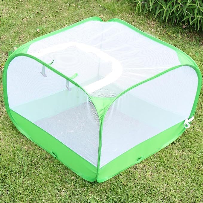 Mesh Plant Cover for Outdoor, Plant Netting Protector Garden Enclosure Cloche for Fruit, Vegetables, Strawberry, Flowers and Herbs Pop-Up Cage with 4 Stakes (White with Green, 39.4" x 39.4" x 19.7")