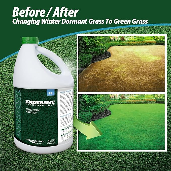 Endurant Turf Colorants - Perennial Rye Spray Green Grass Paint for Lawns - Revives Dry, Patchy Yards - Light Grass Hue - Easy to Use, Concentrated Turf Grass Dye - Covers Approx 10,000 Sq Ft - 1 Gal