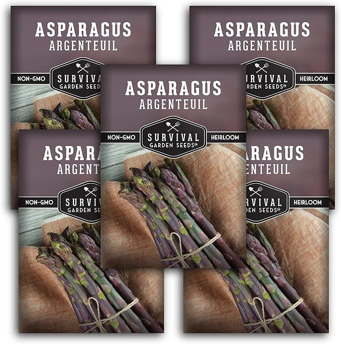 5 Packs Argenteuil Purple Asparagus Seeds for Planting with Instructions to Grow Gourmet French Asparagus in Your Home Vegetable Garden - Non-GMO Heirloom - Survival Garden Seeds