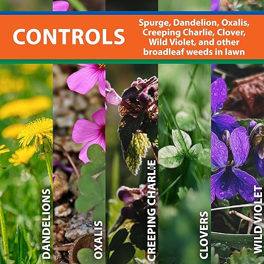 Monterey 8oz Spurge Power Broadleaf Weed Killer