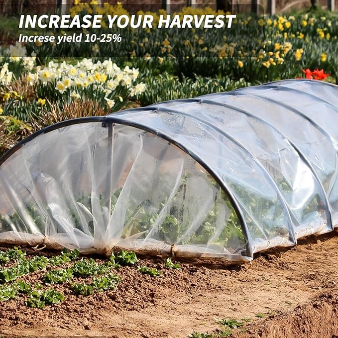 6.5x19.7Ft Clear Greenhouse Film Plastic Sheeting, Greenhouse Polyethylene Plastic Film 6 mil Thickness Replacement Cover, UV Resistant, Plant Covers Freeze Protection for Windproof Frost& Dust Proof