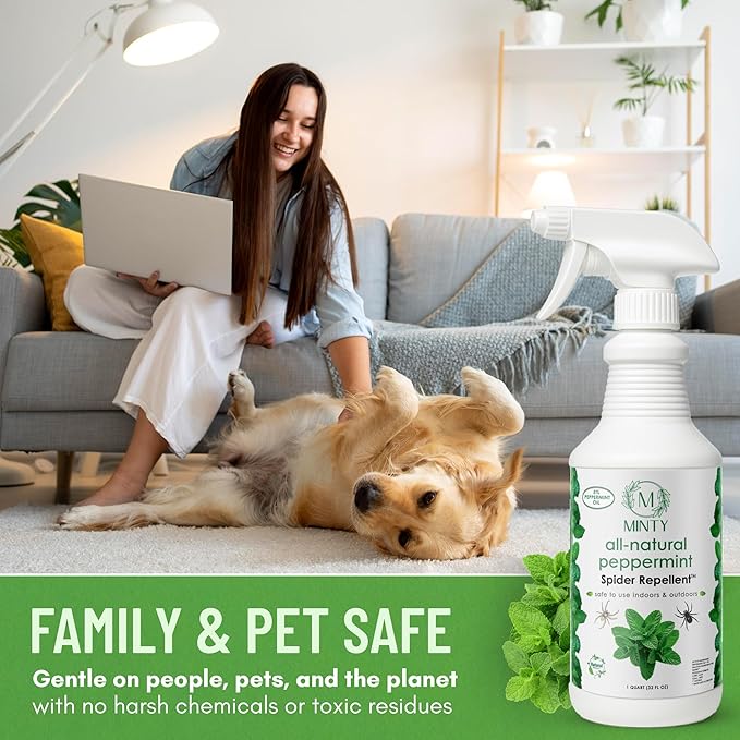 Minty Spider Repellent, Natural 5% Peppermint Oil Spray, Kills & Deters All Types of Spiders and Insects, Indoor and Outdoor Use, 128 fl oz Gallon