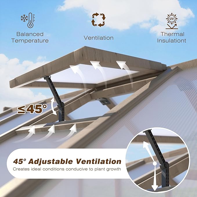 BlueWish 6x12FT Greenhouse, Wood Greenhouses with 6MM Thick Polycarbonate, Adjustable Vent, Cedar Frame, Greenhouse for Outside, Garden, Backyard,Light Brown Mocha