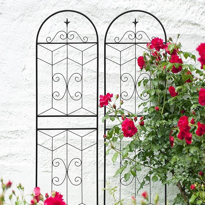 Metal Garden Trellis Rustproof Trellis for Climbing Plants Outdoor Flower Support (Black-2 Pack, 71"x19.7")