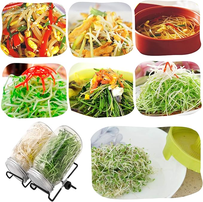 Lulonpon Sprouting Kit, 2 Sprouting Jar Kits, Wide Mouth Quart Mason Jars with Stainless Steel Screen Sprout Lids,1000ml, Stand and Canning Brush,Seed Sprouter Set for Growing Broccoli, Alfalfa
