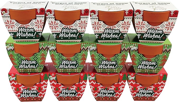 Buzzy Seeds Holiday Sweater Terracotta Mini Grow Pots | Assorted 12-Pack | Christmas Basil, Spruce, Alyssum | Herb Starter Kit for Kids & Adults | Guaranteed To Grow | Gifts, Favors, Stocking Stuffers