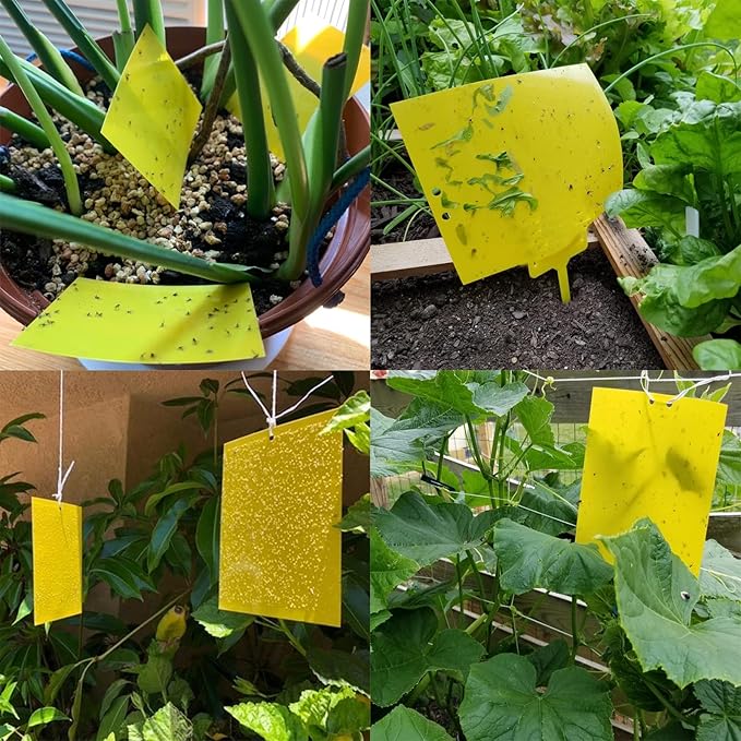 30-Pack Dual-Sided Yellow Sticky Traps for Flying Plant Insect Such as Fungus Gnats, Whiteflies, Aphids, Leafminers, etc (6x8 Inches, Included 30pcs Twist Ties)