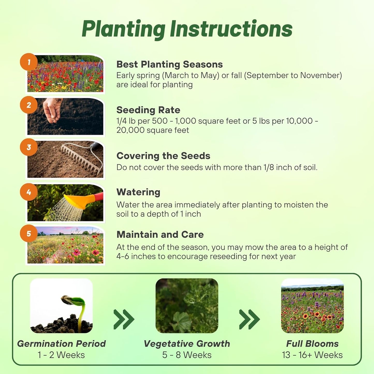 Outsidepride Texas & Oklahoma Wildflower Seed Mix - 1 lb. Drought-Tolerant, Blend of Annual & Perennial Flower Seeds for Vibrant, Pollinator-Friendly Gardens, Thrives in Full Sun & Well-Drained Soil