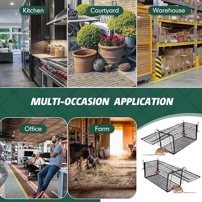 Qualirey 6 Pcs Humane Rat Trap Small Chipmunk Mouse Squirrel Cage Rodent Animal Voles Hamsters Cage Catch and Release Trap for Home Garden Indoor Outdoor(Black,12 x 5.5 x 5.5 Inch)