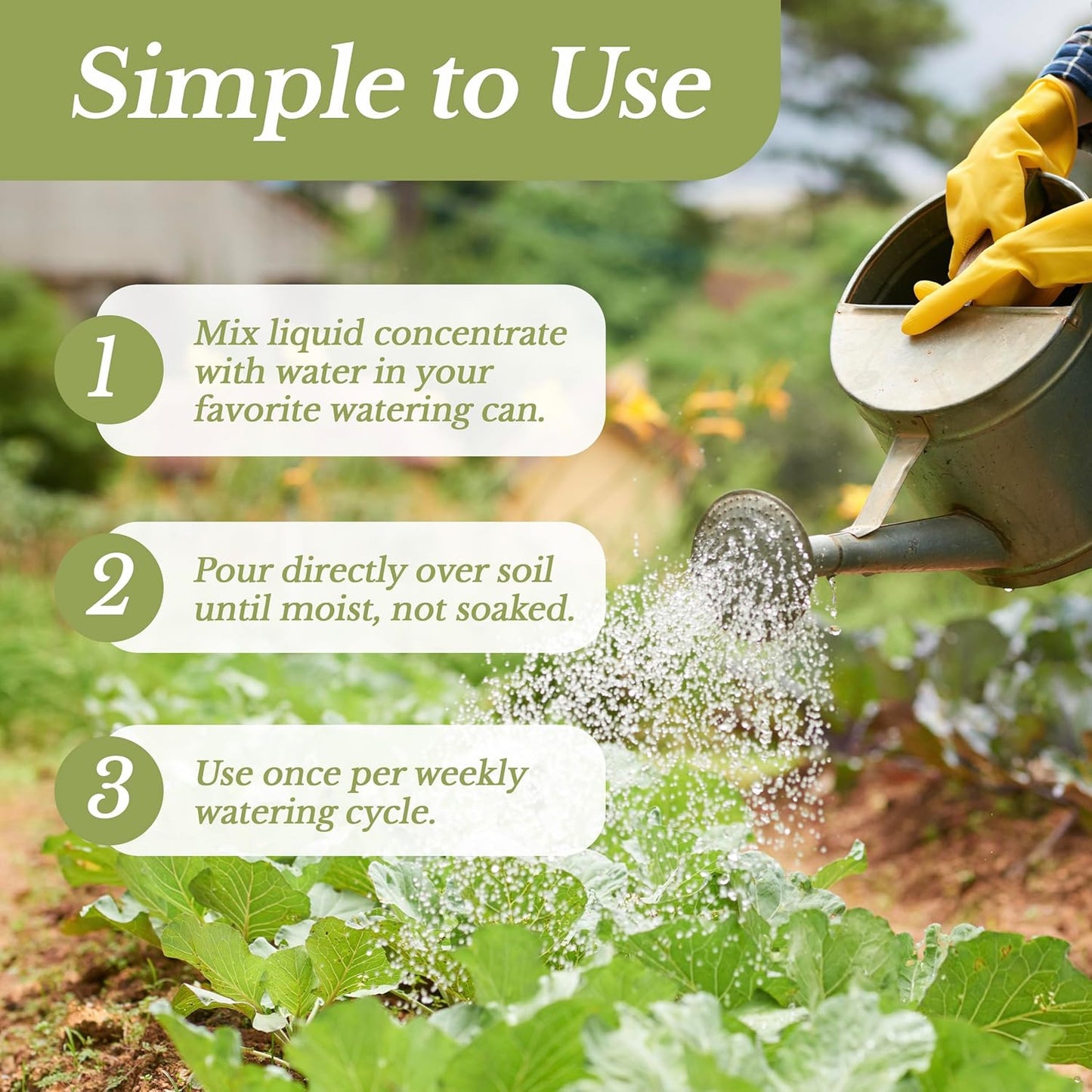 LEAVES AND SOUL Professional Liquid Pepper Fertilizer | 5-1-5 Concentrate, Liquid Plant Fertilizer for Garden, Healthy Produce, Good Harvest, Multi-Purpose Blend & Gardening Supplies | 8 oz