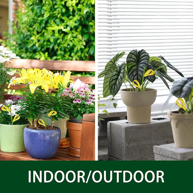 90PCS Yellow Sticky Traps for Indoors/Outdoor Gnat Traps for Plants Fungus Gnats Sticky Traps for Whiteflies Mosquitoes Fruitflies Thrips Aphids... Stake Holders Included Dual-Sided