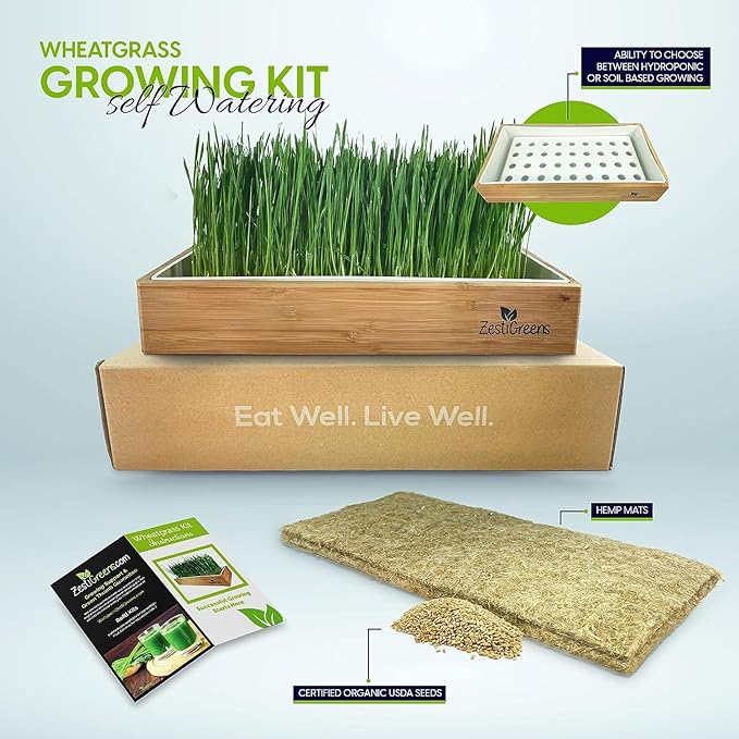 Organic Wheatgrass Growing Kit, Self Watering, with Soilless Grow Mats. The Easy Way to Grow & Juice Healthy Wheat Grass & Make Cat Grass. Bamboo Surround & Black Out Lid. (Organic Wheatgrass Kit)