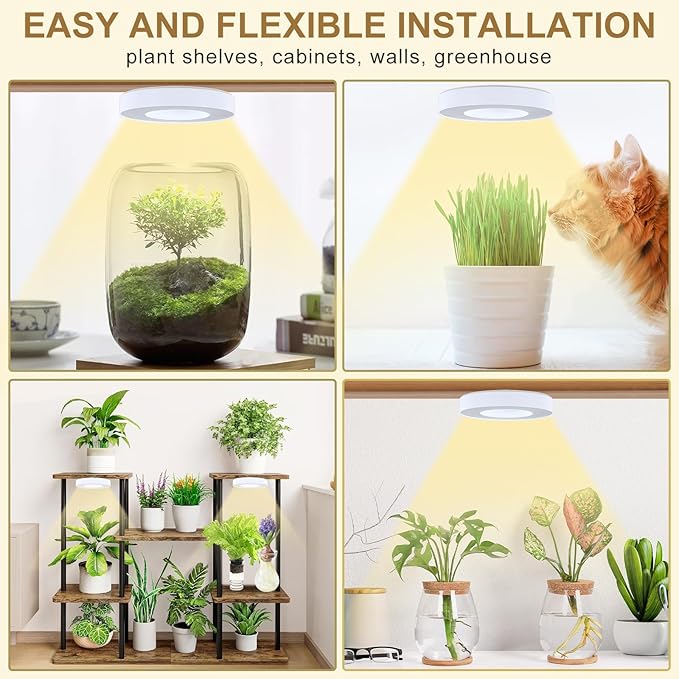 Grow Light for Indoor Plants, 144 LEDs Full Spectrum Halo Plant Light with Auto On/Off Timer (4/8/12H), 10-Level Dimmable, 3 Lighting Modes for Small Plants, Succulents (White, Tri Head)