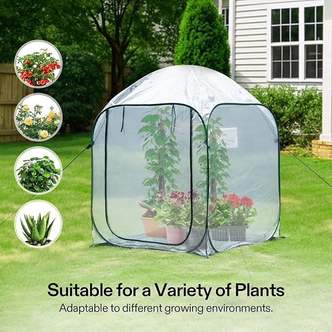 VIVOSUN 49x49x63-Inch Portable Walk-in Greenhouse, with PVC Cover & Detachable Base, Instant Pop-up and Folding, Mini Greenhouse with Roll-Up Door & Mesh Window for Indoor Outdoor, Wind Ropes Included