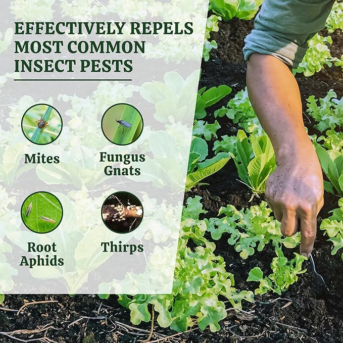 Pride Lands Defense - Organic Pest Control for Indoor & Outdoor Plants/Insect Repellent/Eliminate Mites, Gnats, Thrips, & Aphids/Safe for Pets & Children/Vegetable & Flowering Gardens, 2lb