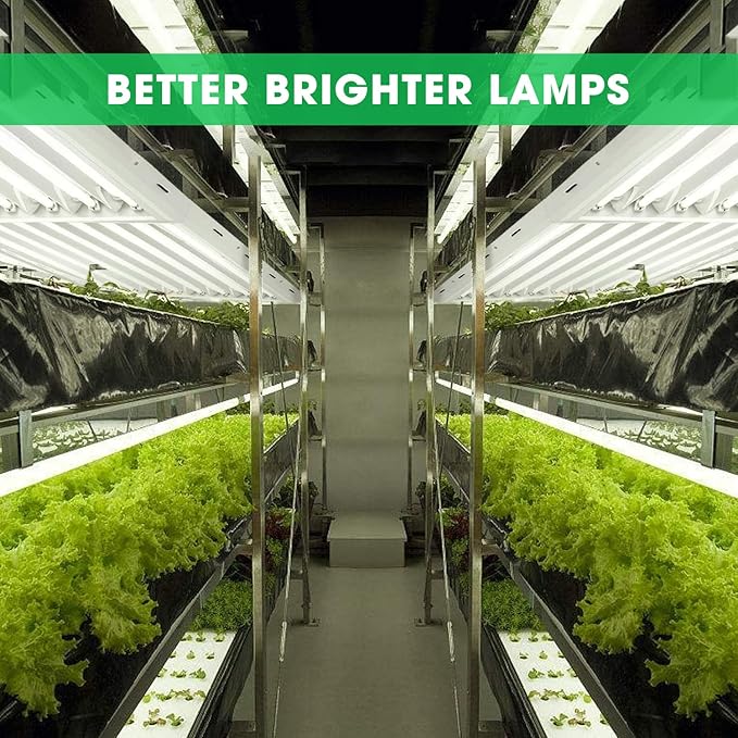 VIVOSUN T5 Grow Lights, 5000 Lumens per 4ft., 216W (4 X 54W), 6500K HO Fluorescent Tubes, with High-Output T5 Light Fixture Bulbs for Indoor Plants, 8ft Power Cord, 2 Hanging Cables, 2 On/Off Control