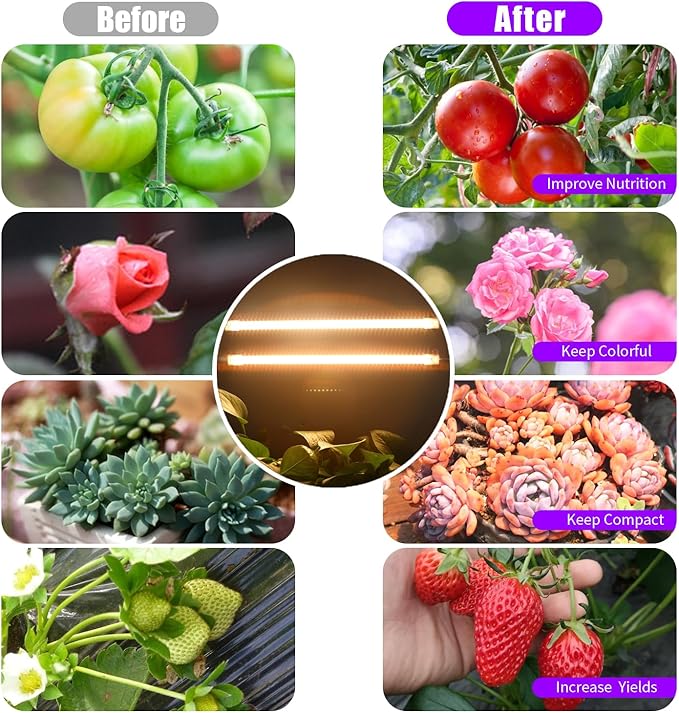 LED Grow Light Strips, Full Spectrum 3500K Plant Growing Lights for Indoor Plants, Plant Lamp for Hydroponics Succulent with 3/9/12H Timer, 10 Dimmable Levels, 3 Head 13 Inches (2 Strip 3 Pack)