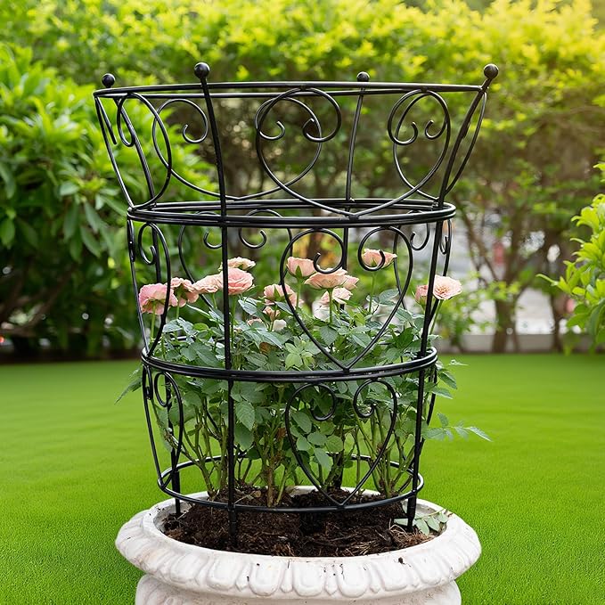 Large Obelisk Trellis Peony Cage 24.6x17 Inches - Premium Metal Plant Support for Outdoor Gardens, Easy Assembly, Sturdy Design, Perfect for Climbing Plants