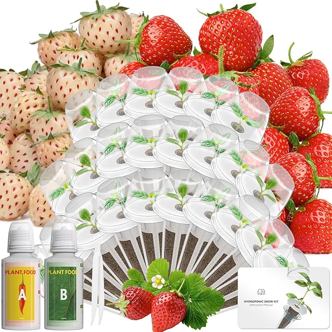 LYKOCLEAN Hydroponic Seed Pod Kit Compatible with AeroGarden, Ahopegarden, iDoo, MUFGA, 24 Pods Complete Growing Anything Garden Supply with Strawberry Seeds, Grow Sponges, Baskets, Domes, Labels