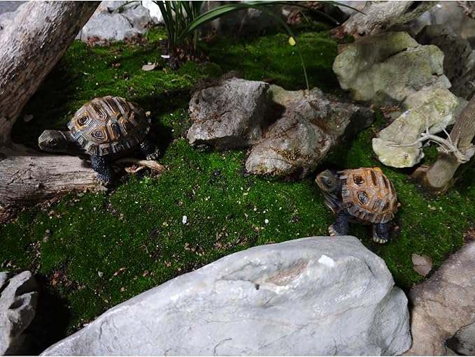 AETVRNI Turtle Figurine Garden Statue Resin Animal Sculpture Realistic Turtle of Polyresin Garden Patio Lawn Yard Outdoor Decorative,L