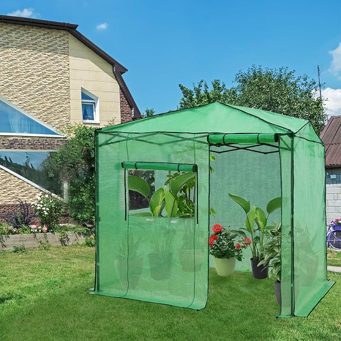 EAGLE PEAK Instant Pop-up Greenhouse, Indoor Outdoor Plant Gardening Green House, Roll-Up Zipper Doors and Side Windows, Walk in 8x6 ft, Green/Clear