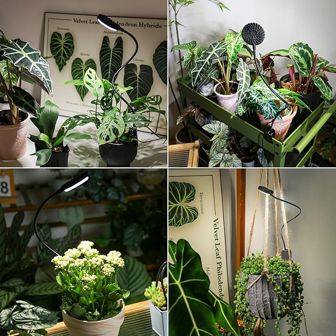 Grow Lights for Indoor Plants, Full Spectrum Plant Grow Lights, 4000K Pot Clip LED Plant Lamps for Indoor Growing with Auto Timer, 4 Dimmable Modes Clip on Light for Succulents Black,1 Pack