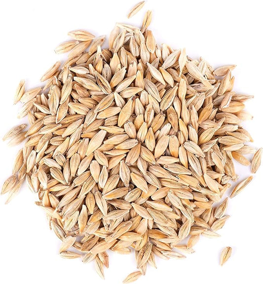 Thunder Acres Barley Seed - Certified Organic - Non-GMO (5lb)