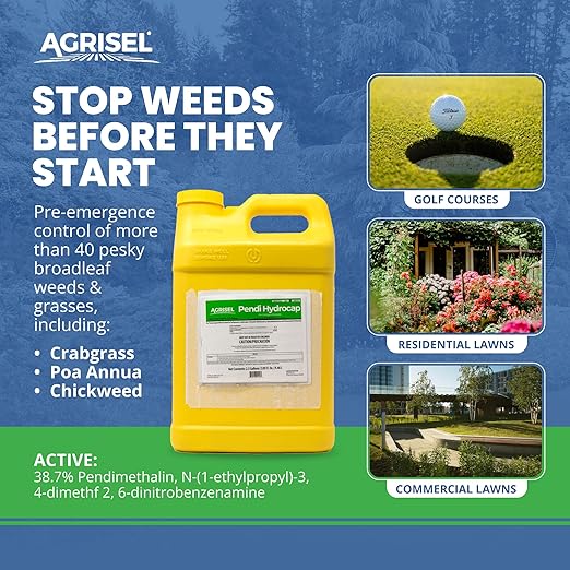 Pendi Hydrocap Weed Killer, Pre-Emergent Formula, Effective on 40+ Broadleaf Weeds and Grasses, No-Stain, Mixes Easily, Pet Safe, Includes 3-Pack of Agrisel Protective Gloves, 320 Ounces