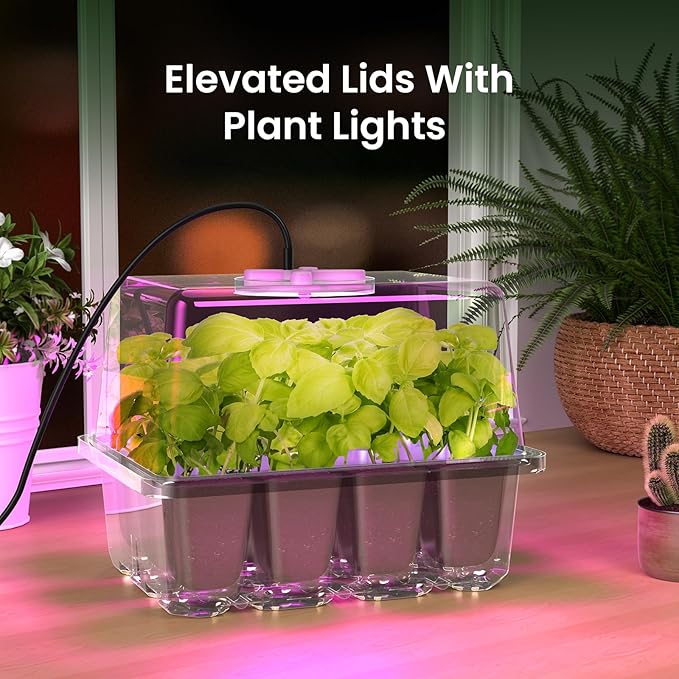 MIXC Seed Starter Kit with Grow Light, Elevated Seedling Tray Kit with Adjustable Humidity Dome and Clear Cell Tray, 12 Full Spectrum Led Beads for Seed Starting Greenhouse, 6 Pack, Transparent