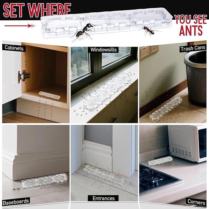 Qualirey 8 Set Ant Bait Stations Reusable (Bait NOT Included), Multi Surface Ant Killer Trap for Home, Control for Indoor and Outdoor Use, Roach Station for Common Household (Large)