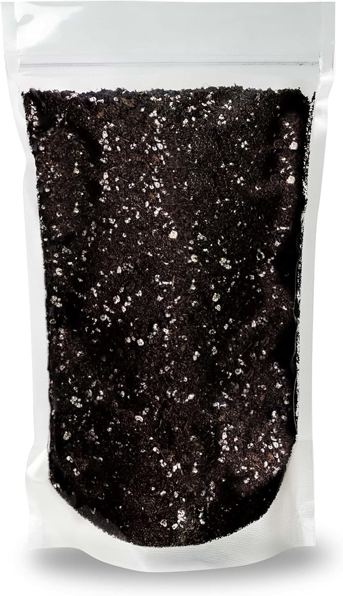 Premium Organic Potting Soil, Succulent & Cactus Soil Mix, Fast Draining Pre-Mixed Blend - Horticultural Perlite (25%) + Peat Moss (75%) - Made in USA - 2 Quart