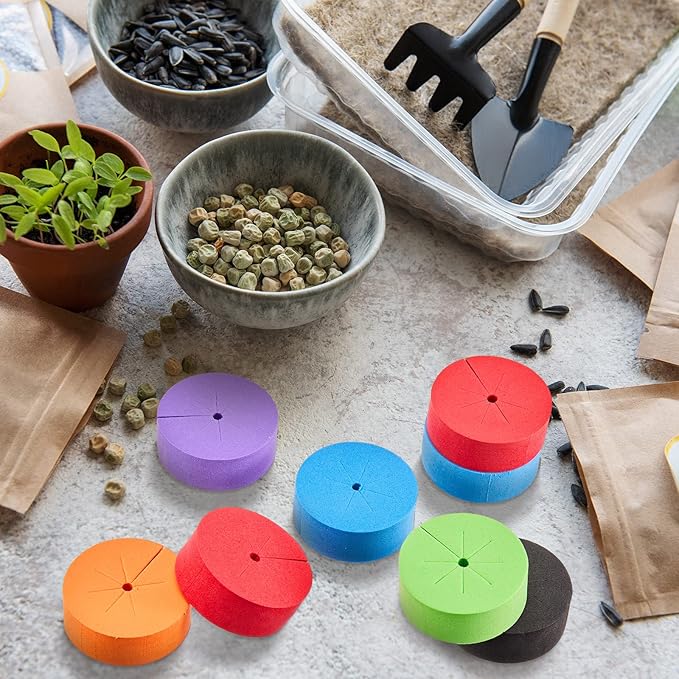 Lallisa 240 Pcs Clone Collars 2 Inch Foam Inserts for Hydroponic Cloning Machines Fits 2" Net Pots Reusable Collars for Hydroponics Plant Germination in DIY Cloner and Clone Machines (Multicolor)