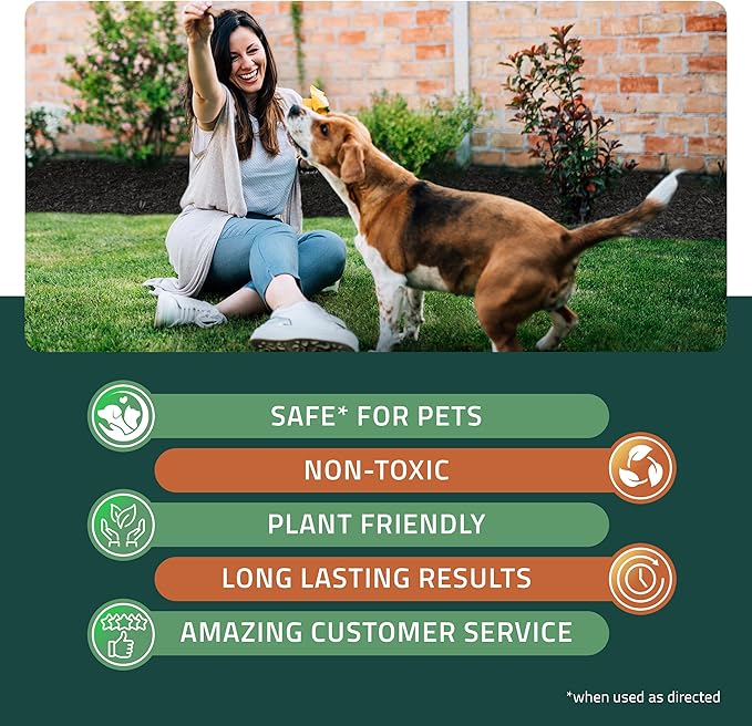 Petra Black Mulch Dye Spray Use with PetraTools Sprayer to Refresh Fading Landscape - Black Dye to Wood Mulch for Landscaping - Rubber, Pine Straw, Bark, Cedar & Playground Cover (3,600 Sq Ft, 32 Oz)