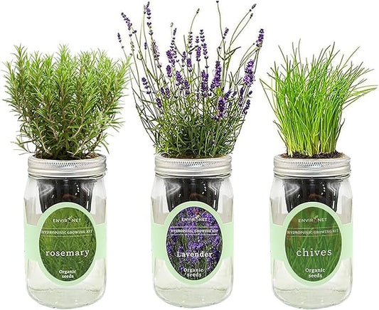 Hydroponic Herb Growing Kit Set, Self-Watering Mason Jar Herb Garden Starter Kit Indoor, Grow Your Own Herbs from Seeds (Lavender, Rosemary & Chives)
