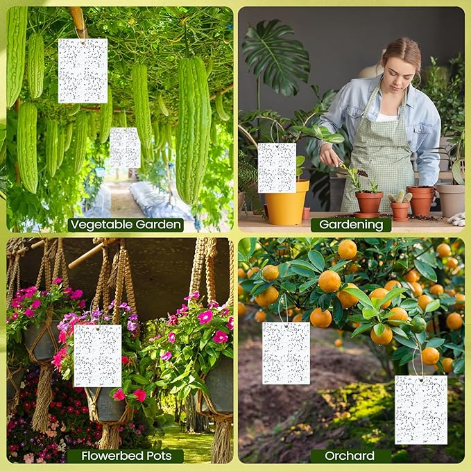 Qualirey 100 Pcs 6 x 8 Inch Sticky Traps for Plant Double Sided Sticky Trap for Gnats with Twist Ties Fly Traps for Fruit Insect Fungus Bugs Indoor Outdoor (White)