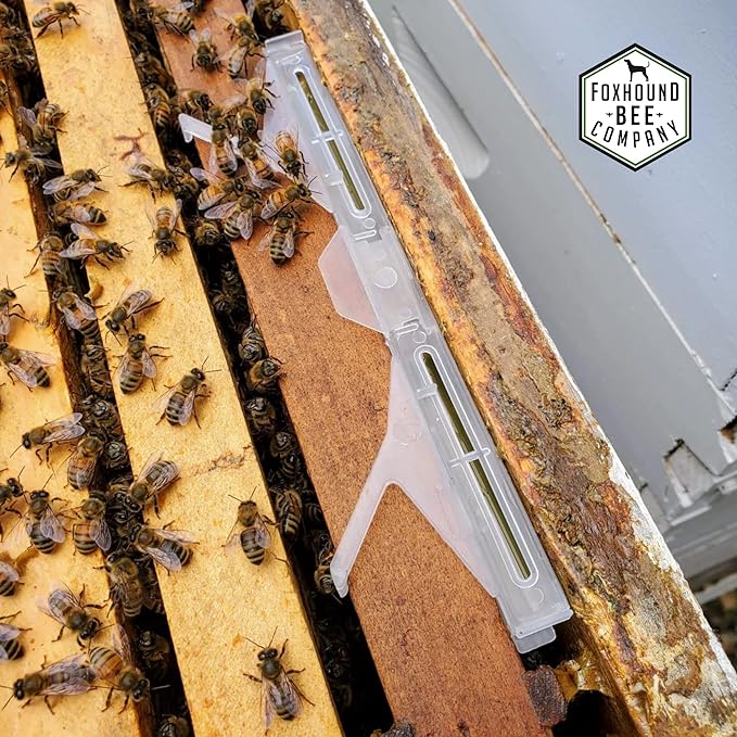 Clear Small Hive Beetle Trap with Baitable and Reusable Oil Trap Designed for Trapping Beetles in Bee Hives Without Chemicals for Beekeeping - 12 Pack