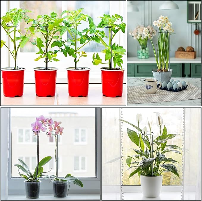 Green Metal Plants Support Stakes (Pack of 8), Garden Single Stem Plant Support Rod and Ring with 10 PCS Plant Clips, Plant Support and Clips Set - for Amaryllis, Rose, Tomato Seedling, Sapling