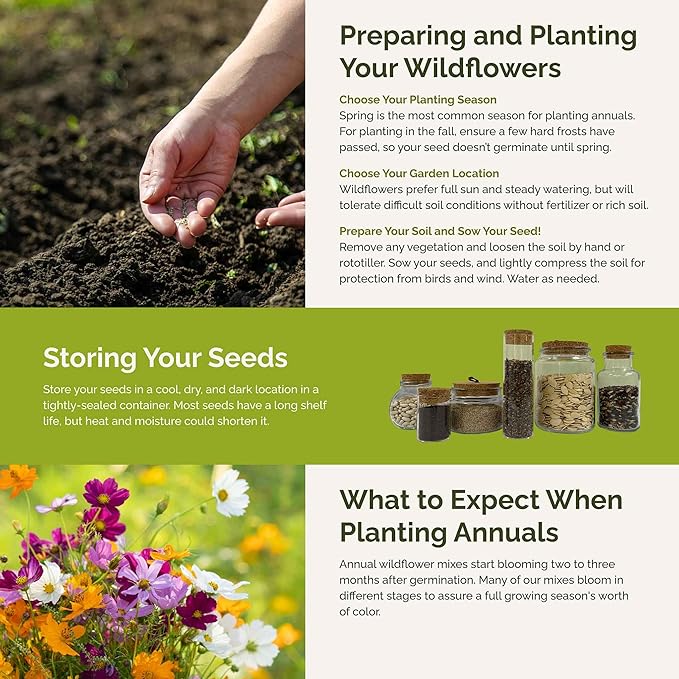 Eden Brothers All Annual Wildflower Mixed Seeds for Planting, 10 lb, 4,800,000+ Seeds Including Sunflower, Indian Blanket | Attracts Pollinators, Plant in Spring, Zones 3, 4, 5, 6, 7, 8, 9, 10